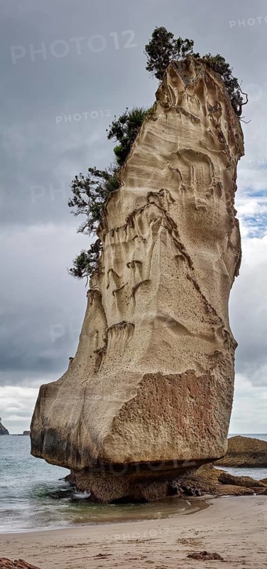 Single tall rock tower with vegetation on the beach, covered by a dramatic sky, Cathedral Grove, Coromandel, New Zealand