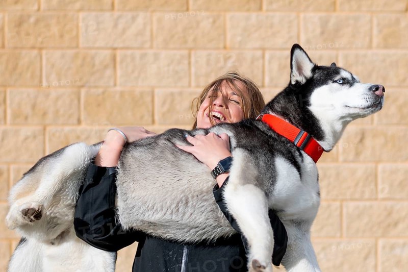 A joyful scene of a woman playfully lifting a large Siberian Husky dog outdoors. The dog, wearing a red collar, looks calm and content against a sunny, brick background