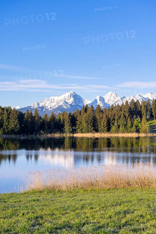 Hegratsrieder See near Füssen, Allgäu Alps, snow, Allgäu, Bavaria, Germany