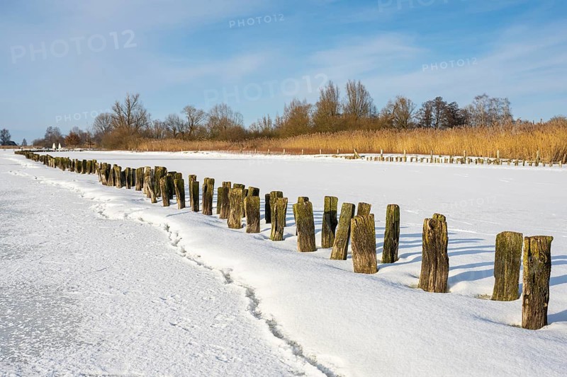Winter at Dümmer, on ice, Eickhöpen, Lembruch, Lower Saxony, Germany