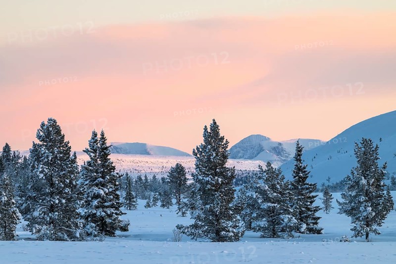 Evening in the mountains, Alm Övre Kvebergsvangan, Alvdal, Hedmark, Innlandet, Norway, January 2026