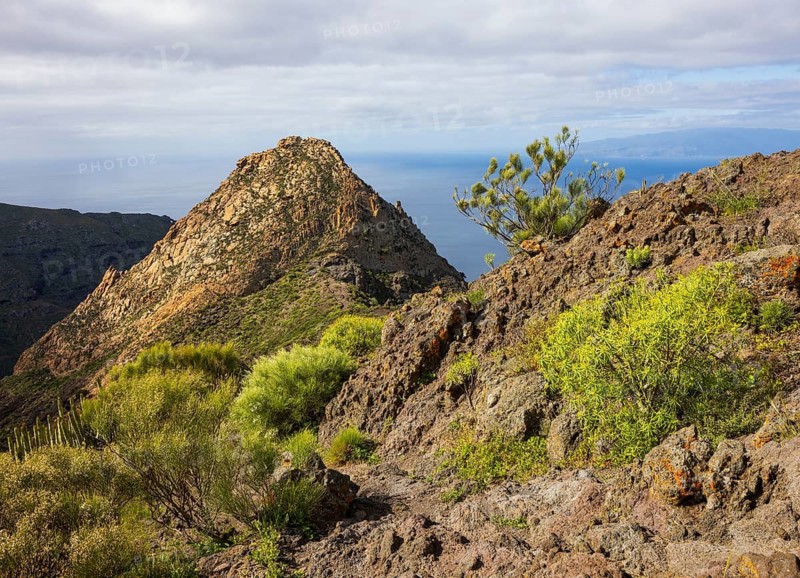 Mountain landscape, mountain hiking, view to Risco Blanco, El Molledo, Tenerife, Canary Island, Atlantic Ocean, Spain