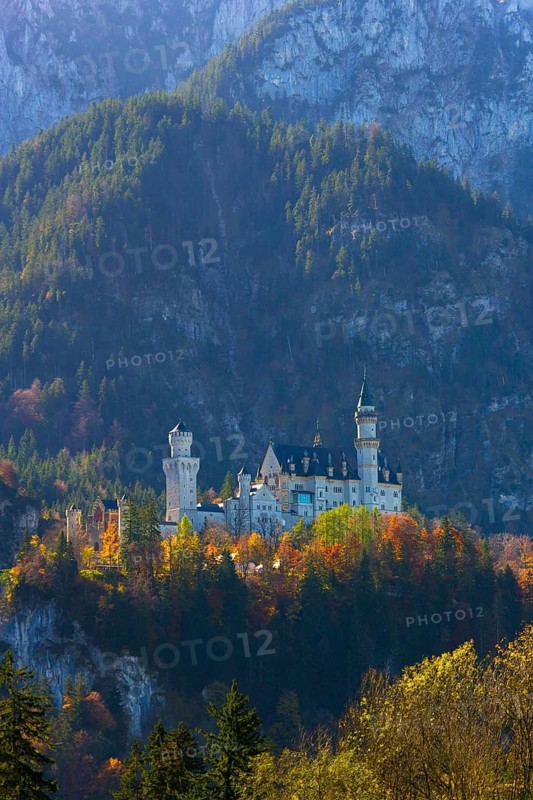 A castle lies picturesquely nestled in autumn-coloured forests against an imposing mountain backdrop, Neuschwanstein Castle, near Füssen, Ostallgäu, Allgäu, Bavaria, Germany
