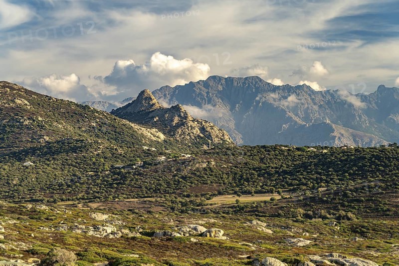 Landscape at Punta di Spanu near Lumio and the mountains, Corsica, France