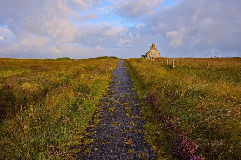 A narrow path leads to a lonely stone house in the middle of a vast meadow landscape under cloudy skies, Moine House, Moine Track, Lairg, Scotland, United Kingdom, Great Britain
