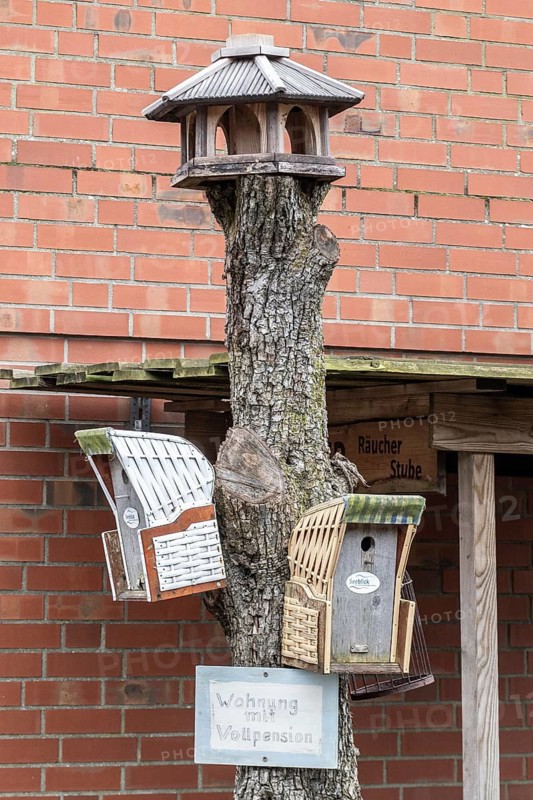 Nesting boxes in Strandkorbart and feeding house on a tree trunk, Amrum, Schleswig-Holstein, Germany