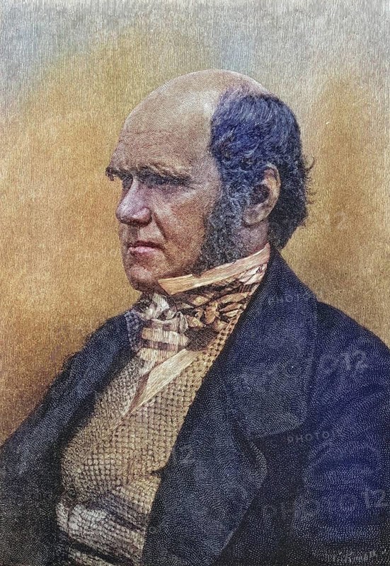 Charles Darwin, 1809?1882, 45 years old. British naturalist. After a photograph (1854?) by Maull and Fox, Historic, digitally restored reproduction from a 19th century original, Record date not stated