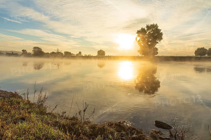 Morning with fog on the Elbe at sunrise, Radebeul, Saxony, Germany