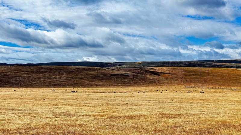 Open golden fields against a hilly mountain backdrop under a cloudy sky, The endless expanse of the landscape in Patagonia Chile