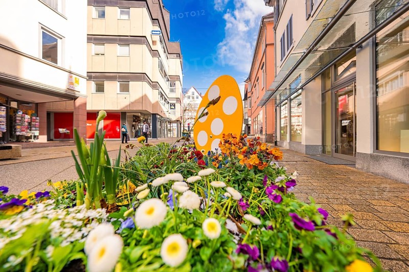 Colourful flowers with orange egg in a sunny pedestrian zone, Nagold, Calw district, Germany