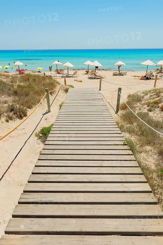 Wooden bridge leading to Mitjorn beach, Formentera, Balearic Islands, Spain