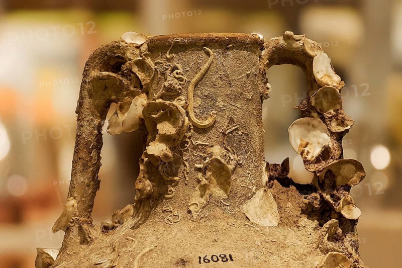 Background blurred, detailed view of an ancient jug with shell decorations, Patras Archaeological Museum, Patras, Peloponnese, Greece