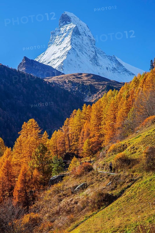 Autumn landscape with hiking trail and Matterhorn 4478m with golden yellow larches, Zermatt, Mattertal, Valais, Switzerland
