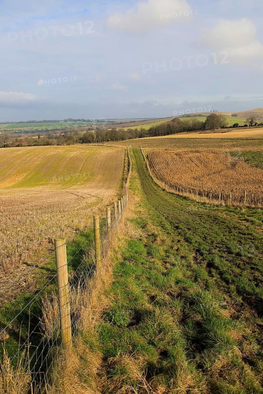 Chalk landscape view to Cherhill Down, North Wessex Downs, Wiltshire, England, UK near Calstone Wellington