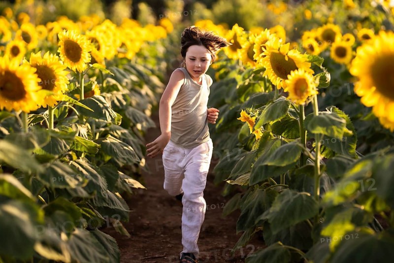 A joyful child runs through a vibrant sunflower field, surrounded by golden blooms at sunset. The warmth and energy of the scene capture the essence of summer freedom