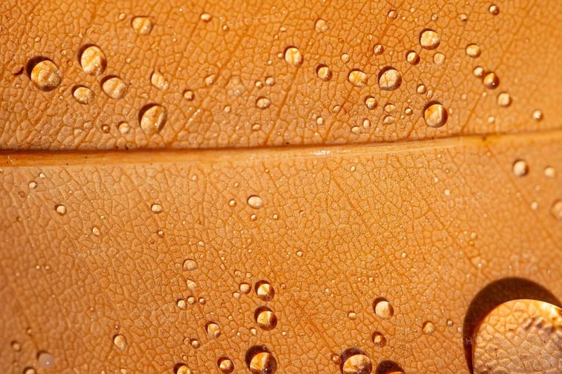 A macro shot capturing glistening dew droplets on a textured, dry leaf. The intricate patterns and warm tones highlight nature's delicate beauty and autumn charm