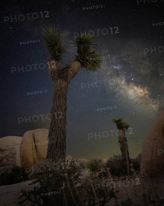 Stunning night sky over Joshua Tree National Park, California, showcasing the Milky Way with vibrant detail. Captured using long exposure