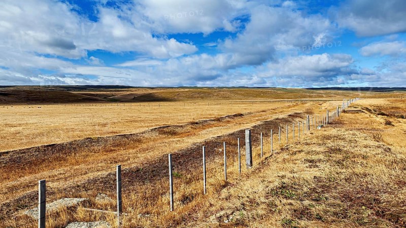 Wide golden meadow under a blue sky with clouds and a long fence in the foreground, The endless expanse of the landscape in Patagonia Chile
