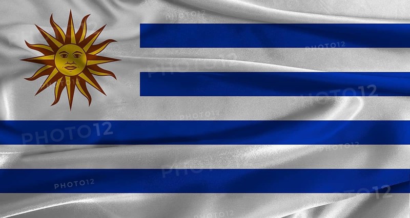Flag of Uruguay with fabric textured background. Close up of National flag of Uruguay with realistic texture