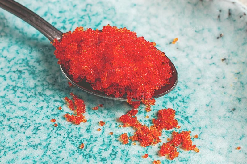 A spoon with orange flying fish caviar, Tobiko, on a light blue plate, caviar for rolls and sushi, close-up