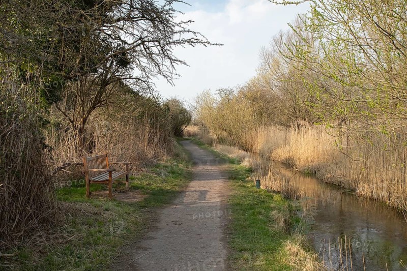 Footpath by a river, RSPB Fowlmere nature reserve, Cambridgeshire, England, United Kingdom