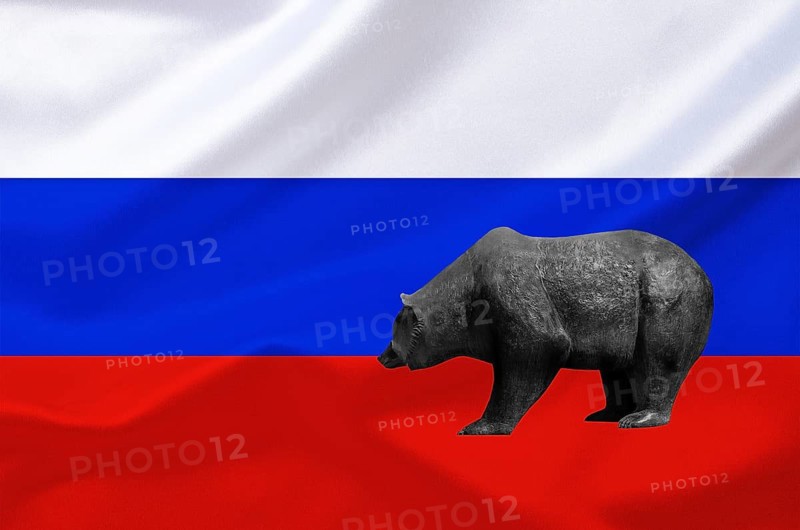 Stock market, stock prices in Russia, bear market, falling prices, flag, national flag, bear, bull and bear, symbolic figures of the stock exchange, Moscow, Russian Federation, studio recording, Federal Republic of Germany