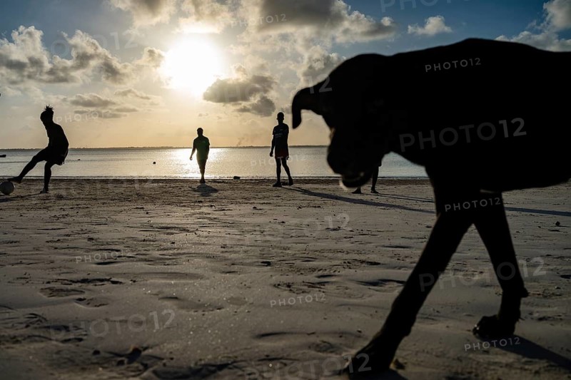 Silhouette of a dog walking on a tropical beach at sunset with local people playing soccer in the background in MICHAMVI KAE, ZANZIBAR