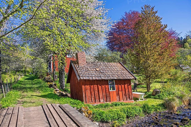 Idyllic small red wooden shed with beside a stream in a lush spring landscape and flowering lush trees with a wooden footbridge crosses the water a sunny spring day, Sweden