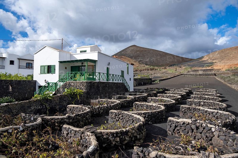 Typical white house between volcanic landscape, traditional winegrowing on Lapilli volcanic sand, Lanzarote, Canary Islands, Spain