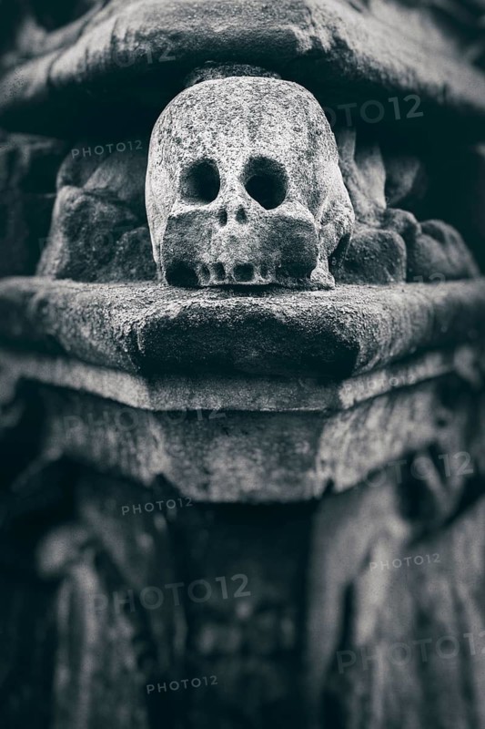 Old historic cemetery, sculpture of a skull as a detail of a tombstone on Camposanto, skull, skull, Buttstädt, Thuringia, Germany
