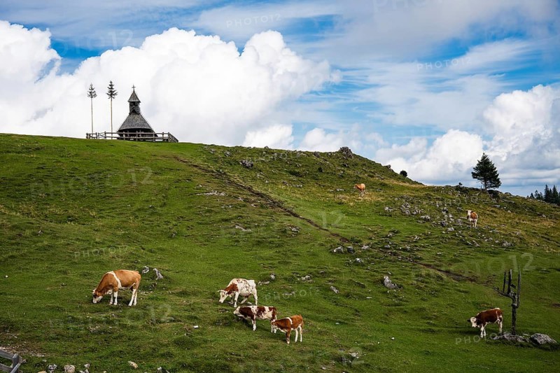 A wide panoramic view of a traditional shepherd village with unique wooden chapel scattered across green rolling hills under a dramatic sky in Slovenia