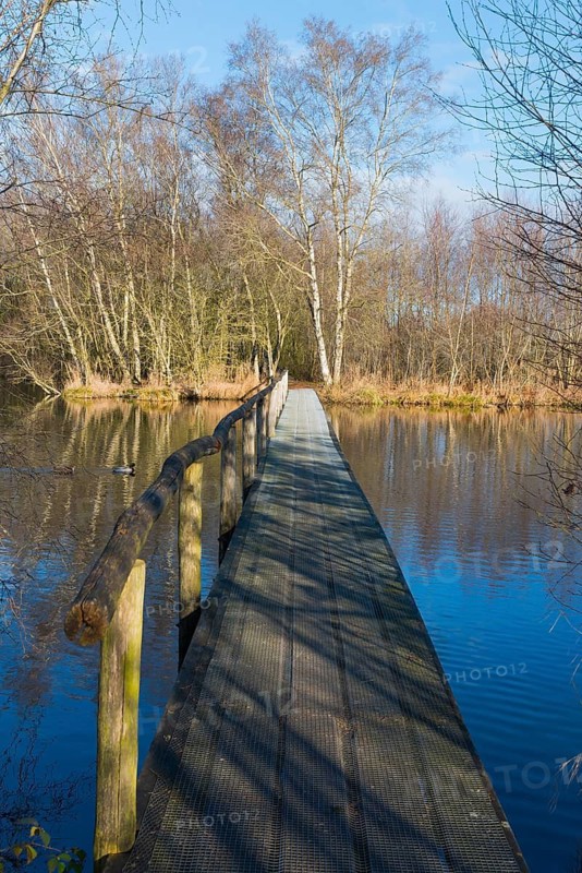 Bridge, De Deelen, landscape conservation area, nature reserve, Luinjeberd, Lúnbert, Heerenveen, Friesland, Netherlands