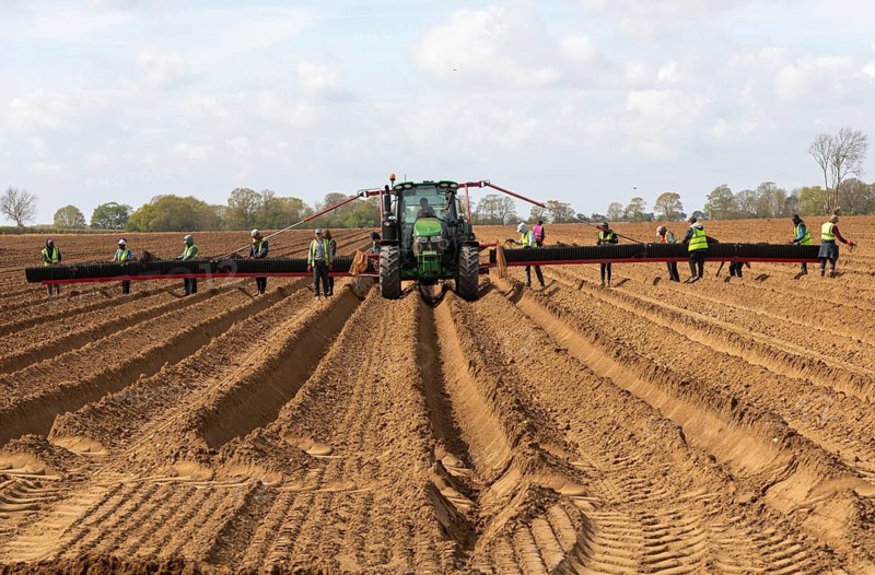 John Deere 6R tractor with wide-boom conveyor system, which acts as a planting platform for high-efficiency manual labour planting potatoes