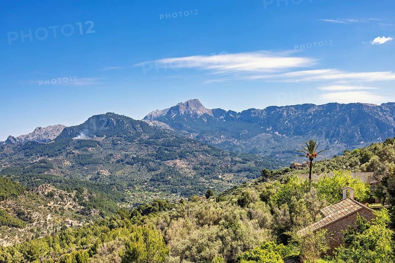 Scenic mountain view with houses surrounded by lush green vegetation a sunny summer day with a blue sky, Serra de Tramuntana, Mallorca, Spain