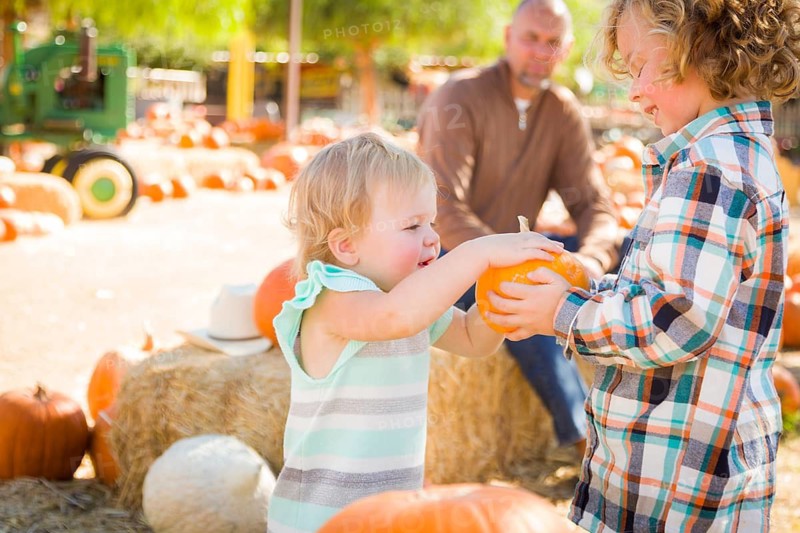 Adorable Young Family Enjoys a Day at the Pumpkin Patch