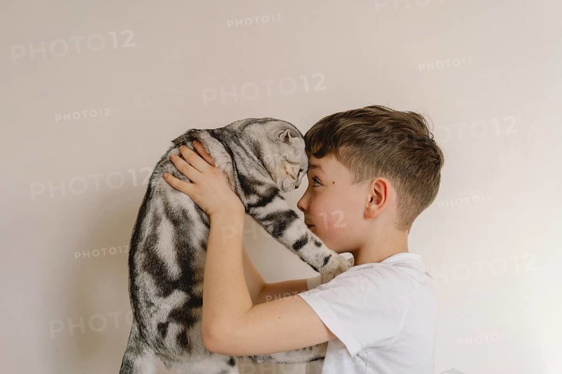 A young boy lovingly holds a Scottish Fold cat, showcasing their affectionate bond. The cat, with distinctive folded ears, is cradled gently, creating a heartwarming scene of friendship