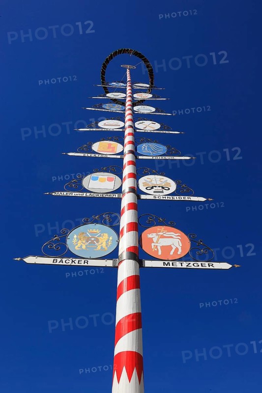 Guild tree in the city centre of Bayreuth, Bayreuth, Upper Franconia, Bavaria, Germany