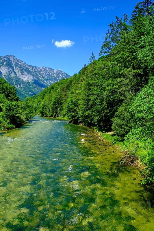 Traun in the Koppental near Obertraun on Lake Hallstatt, Salzkammergut, Upper Austria, Austria