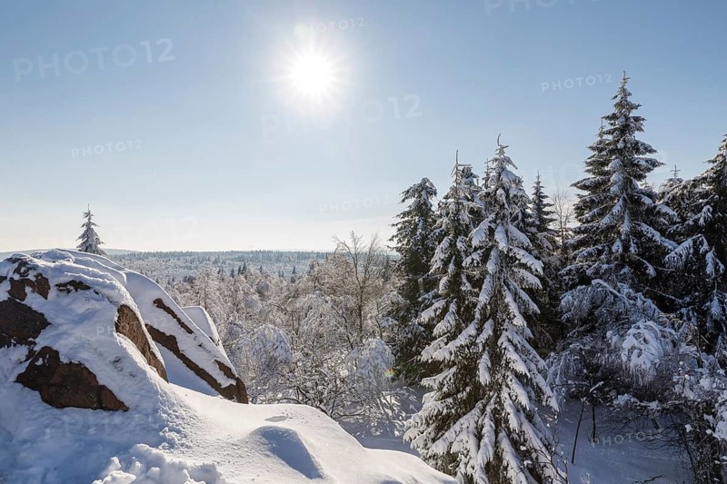 View from Kleiner Lugstein of the sunny winter landscape with snow-covered trees, bushes, trails and branches covered with hoarfrost on the Erzgebirgskamm, Zinnwald-Georgenfeld, Altenberg, Eastern Ore Mountains, Saxony, Germany