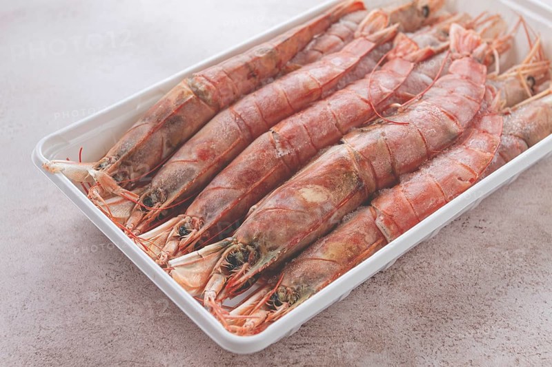 Fresh frozen Argentine shrimp, laid out in a container, top view, no people