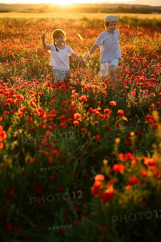 A young boy and girl, siblings, joyfully holding hands and running through a vibrant field of Papaver rhoeas, commonly known as common poppy and red poppy, during a picturesque sunset