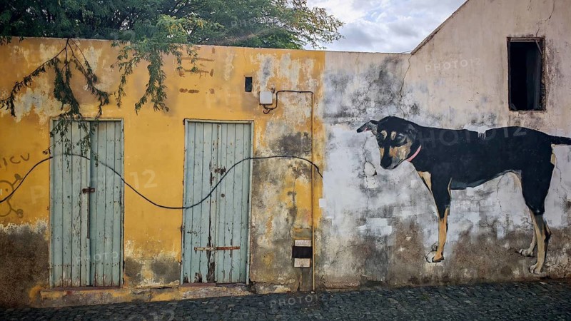 A mural, graffiti, mural of a dog next to a yellow wall with two old wooden doors, Porto Novo, Santo Antao, Cabo Verde, Cape Verde