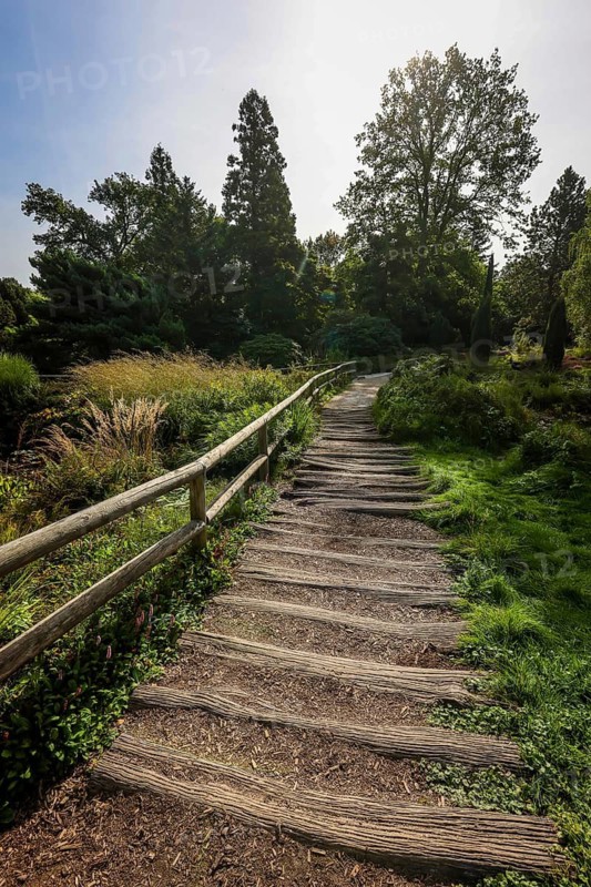 Essen, North Rhine-Westphalia, Germany - Path with wooden planks in the Heide Moor, a park in Essen, emerged from the first Great Ruhrland Horticultural Exhibition in 1929, was the park area of the Federal Garden Show 1965