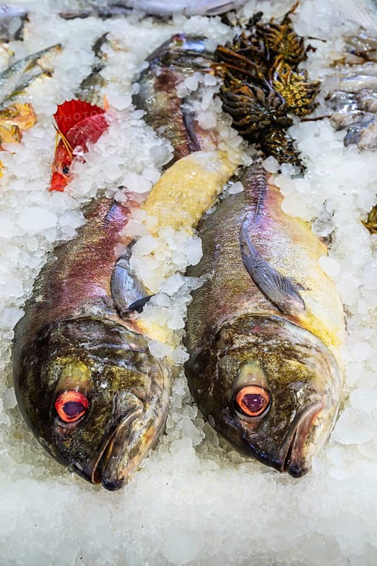 Red Sea Fish, Fish Market in Hurghada, Egypt
