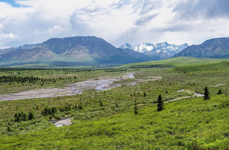 Savage River, tundra and mountainous landscape, Denali National Park, Alaska, USA