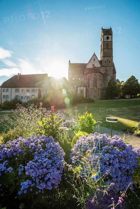 Monastery and monastery church, Alpirsbach, Northern Black Forest, Black Forest, Baden-Württemberg, Germany