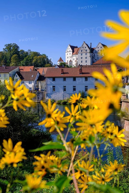 Danube with Scheer Castle, Scheer, Upper Danube nature park Park, Baden-Württemberg, Germany
