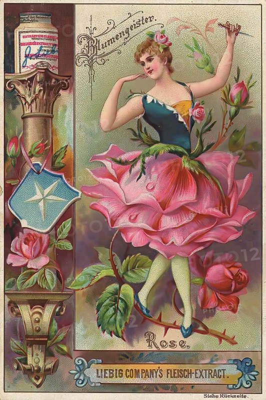 Picture series Flower Spirits, Woman with Rose, Liebig picture, digitally restored reproduction of a collector's picture from ca 1900, public domain, exact date unknown, A dancing woman in a dress depicting rose petals, vintage style
