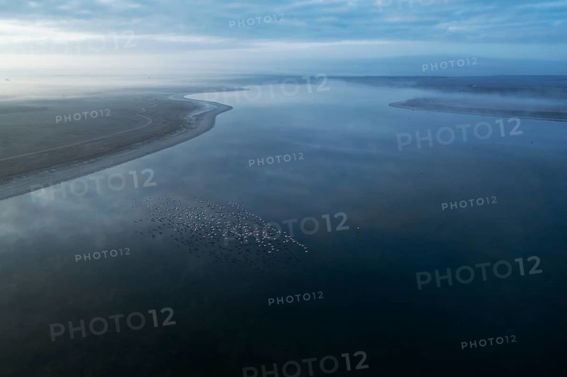 A serene aerial view of a lagoon in Toledo, Spain, with a flock of flamingos scattered across the calm, reflective waters. The misty atmosphere enhances the tranquil beauty of the natural scene
