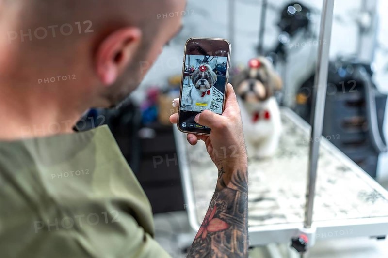 Groomer photographing a well groomed shih tzu in a red bow tie and hair clip on a salon table, capturing a cute, pampered small dog with a smartphone